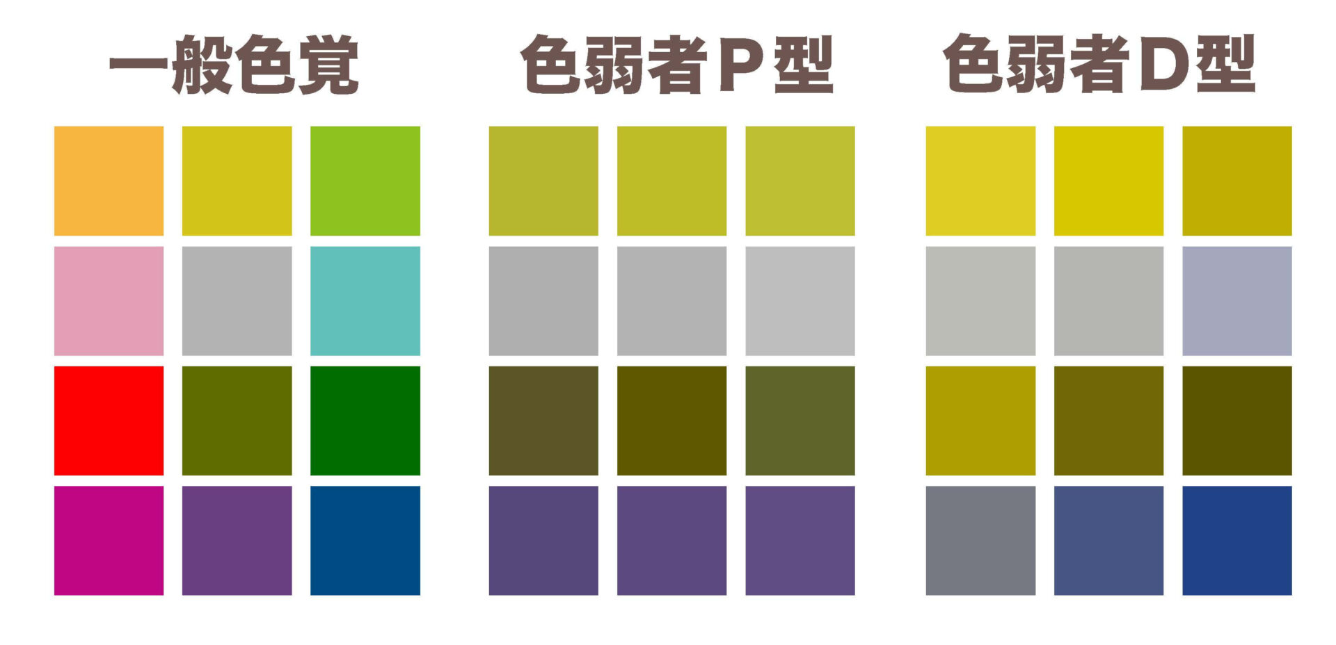 色覚のタイプによる色の見え方の違いをあらわした画像です。画像から、P型、D型は、赤と緑の色の区別が難しいことが分かります